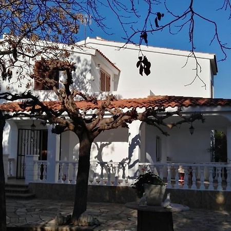 Chalet In Peñíscola Εξωτερικό φωτογραφία