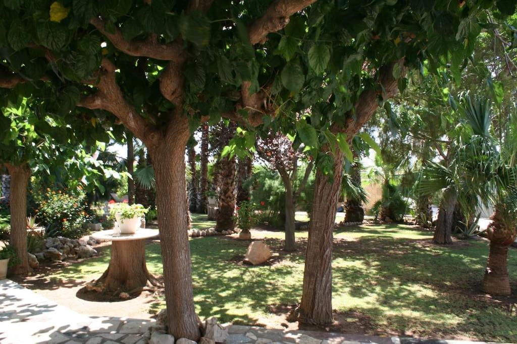 Chalet In Peñíscola Εξωτερικό φωτογραφία